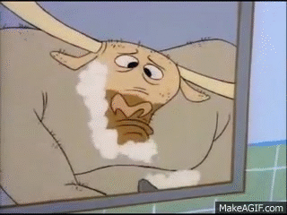 yak